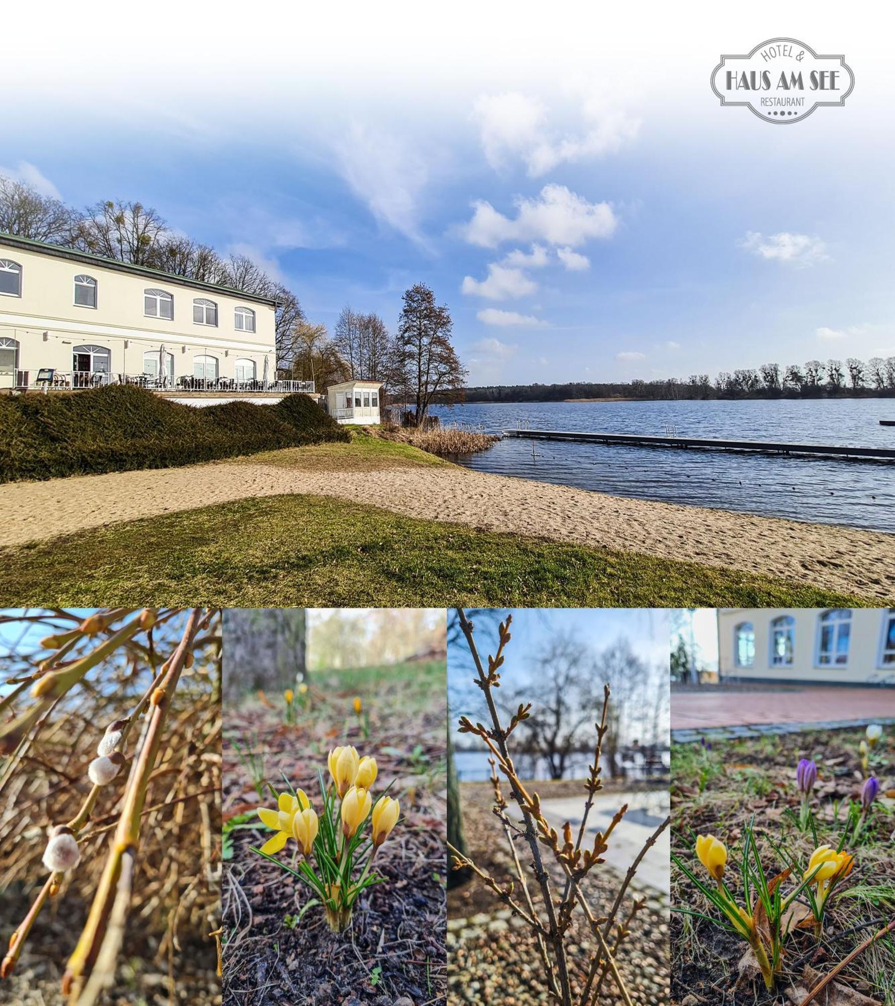 Hotel & Restaurant Haus Am See Locknitz Εξωτερικό φωτογραφία