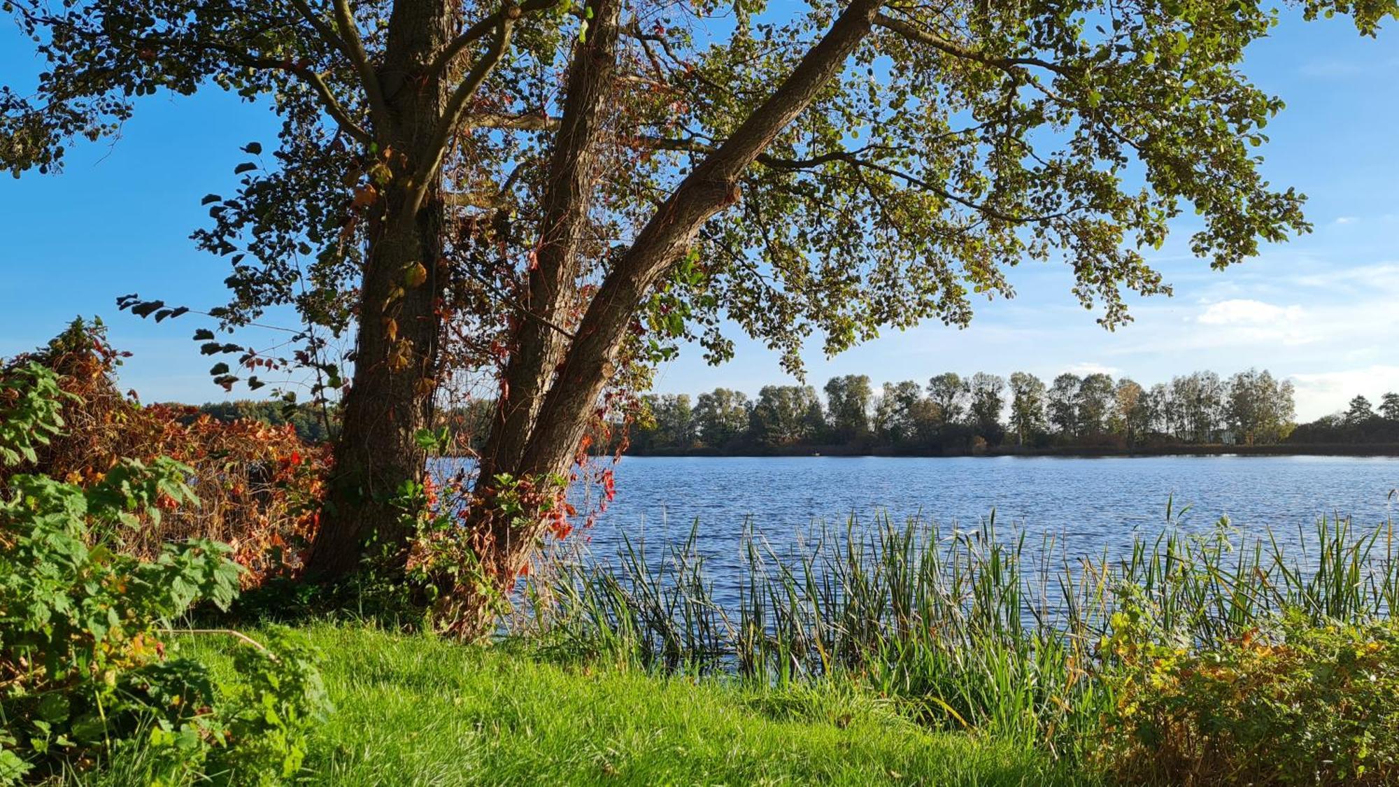 Hotel & Restaurant Haus Am See Locknitz Εξωτερικό φωτογραφία